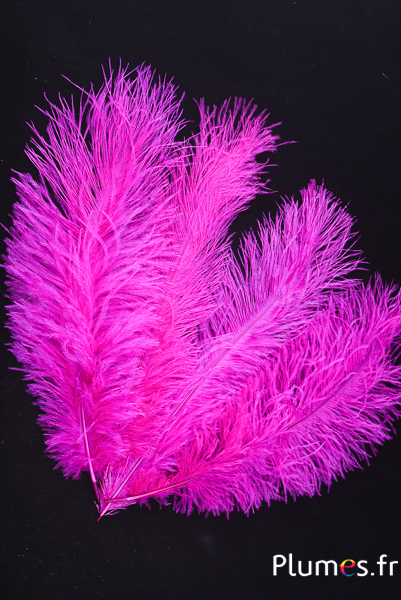 Autruche - 30-40 cm - fuchsia
